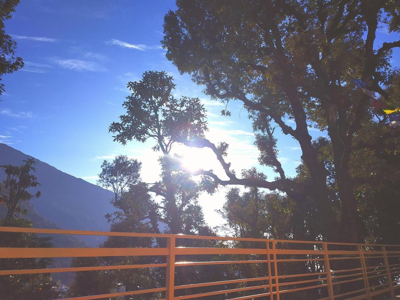 فندق دارامشالافي  The Unmad, Dharamkot المظهر الخارجي الصورة