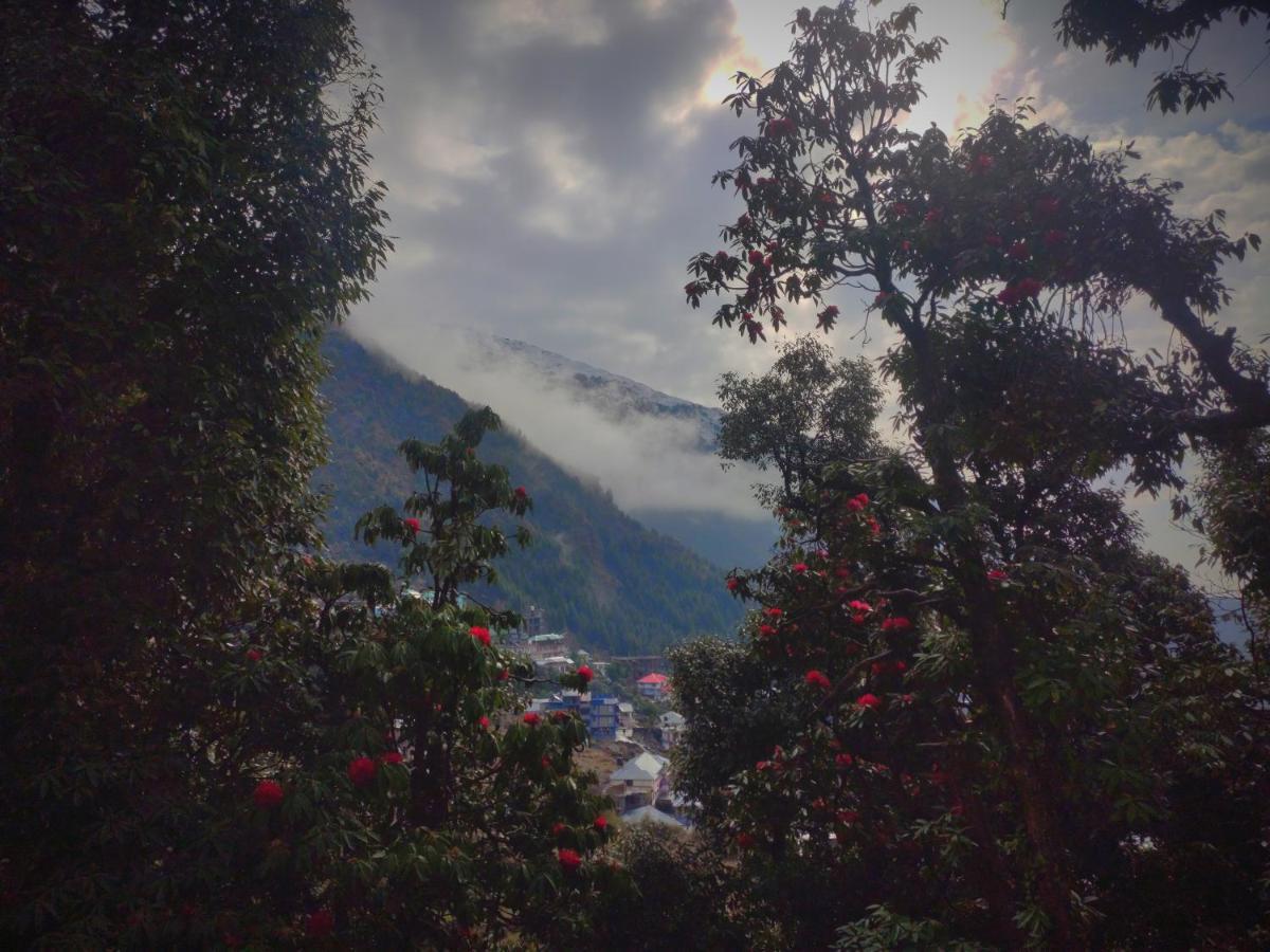 فندق دارامشالافي  The Unmad, Dharamkot المظهر الخارجي الصورة